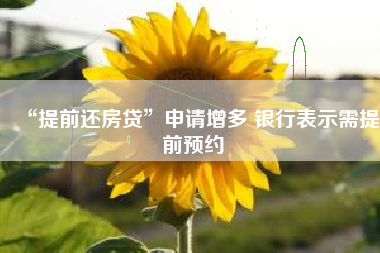 “提前还房贷”申请增多 银行表示需提前预约 “提前还房贷”申请增多 银行表示需提前预约