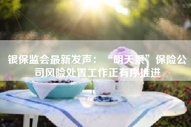银保监会最新发声：“明天系”保险公司风险处置工作正有序推进