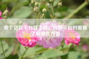 哪个贷款平台好下款，选择平台时需要了解哪些方面