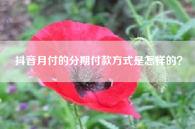 抖音月付的分期付款方式是怎样的？