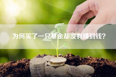 为何买了一只基金却没有赚到钱？