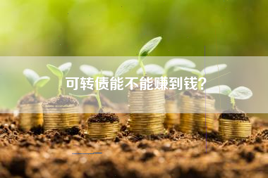 可转债能不能赚到钱？