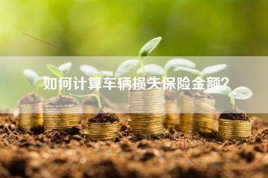 如何计算车辆损失保险金额？