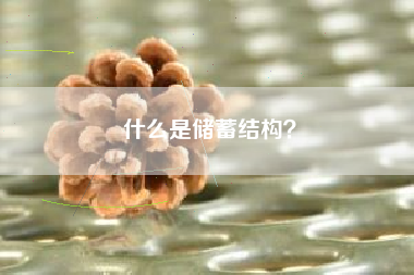 什么是储蓄结构？