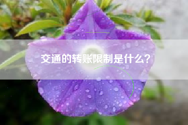 交通的转账限制是什么？