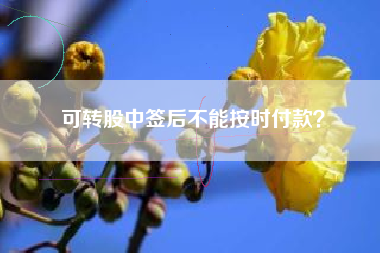 可转股中签后不能按时付款？