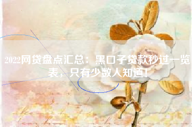 2022网贷盘点汇总：黑口子贷款秒过一览表，只有少数人知道！