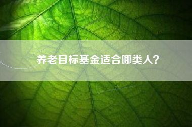 养老目标基金适合哪类人？