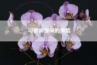 可带病投保的保险