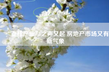 “支柱产业”之声又起 房地产市场又有新气象