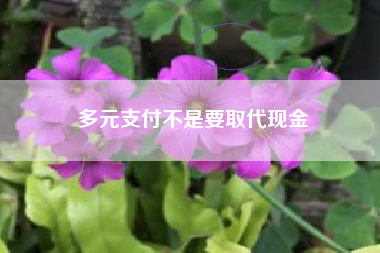 多元支付不是要取代现金