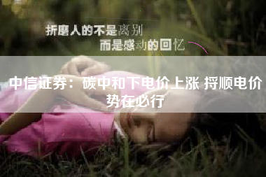 中信证券：碳中和下电价上涨 捋顺电价势在必行