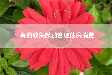 有的放矢鼓励合理住房消费