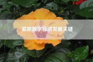 紧抓数字经济发展关键