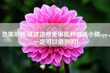 急需用钱,试试这些免审批秒借钱小额app，一定可以借到的！