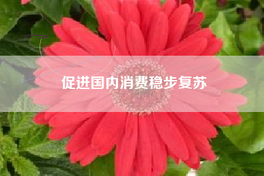 促进国内消费稳步复苏