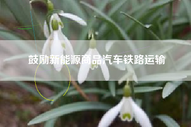 鼓励新能源商品汽车铁路运输