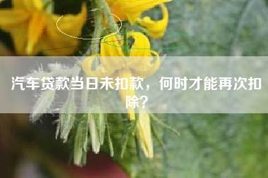 汽车贷款当日未扣款，何时才能再次扣除？