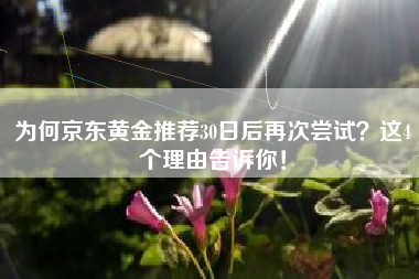 为何京东黄金推荐30日后再次尝试？这4个理由告诉你！