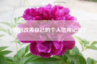 如何改善自己的个人信用记录？