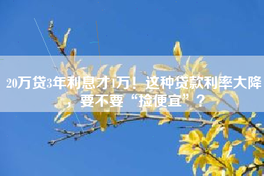 20万贷3年利息才1万！这种贷款利率大降，要不要“捡便宜”？