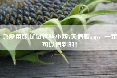 急需用钱,试试这些小额7天借款app，一定可以借到的！