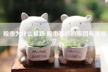 股市为什么暴跌 股市暴跌的原因有哪些？