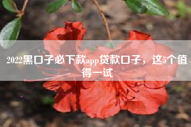 2022黑口子必下款app贷款口子，这5个值得一试