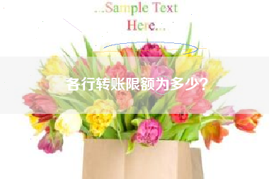 各行转账限额为多少？