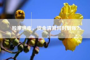 股票退市，资金清算何时到账？