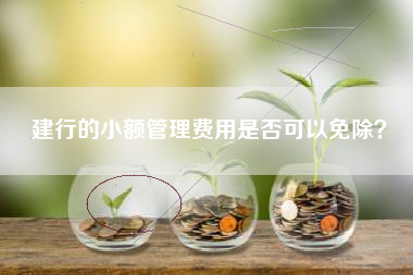 建行的小额管理费用是否可以免除？