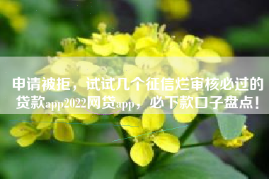 申请被拒，试试几个征信烂审核必过的贷款app2022网贷app，必下款口子盘点！