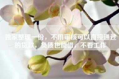 独家整理一份，不用审核可以直接通过的贷款，负债也能借，不看工作