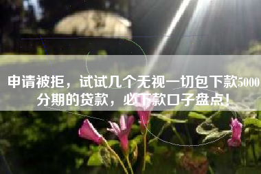 申请被拒，试试几个无视一切包下款5000分期的贷款，必下款口子盘点！