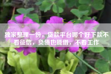 独家整理一份，贷款平台哪个好下款不看征信，负债也能借，不看工作