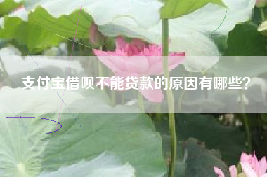 支付宝借呗不能贷款的原因有哪些？