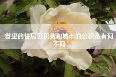 省里的住房公积金和城市的公积金有何不同