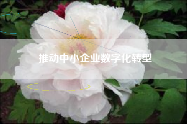 推动中小企业数字化转型