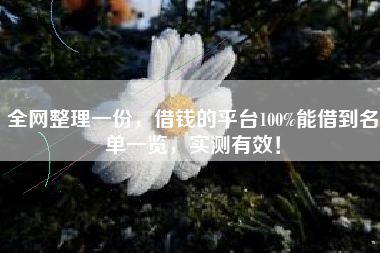 全网整理一份，借钱的平台100%能借到名单一览，实测有效！