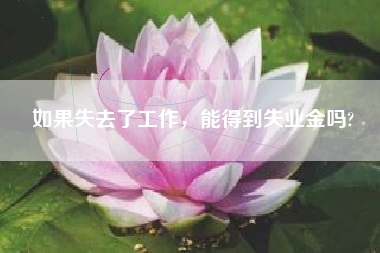 如果失去了工作，能得到失业金吗?
