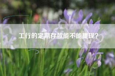 工行的定期存款能不能提现？