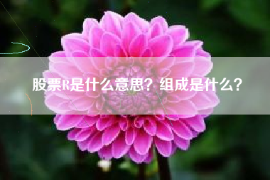 股票R是什么意思？组成是什么？