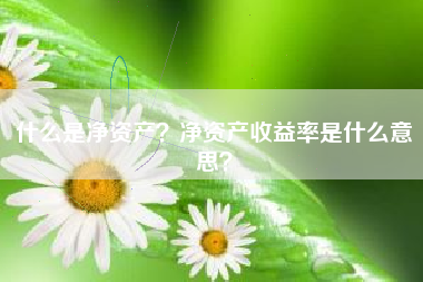 什么是净资产？净资产收益率是什么意思？
