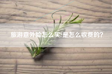 旅游意外险怎么买?是怎么收费的？