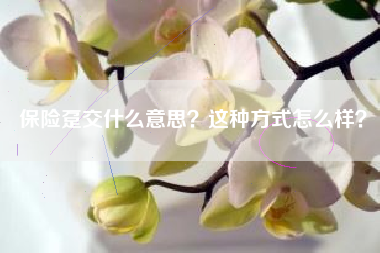 保险趸交什么意思？这种方式怎么样？