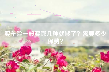 买车险一般买哪几种就够了？需要多少保费？