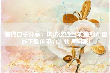 借钱口子分享：试试这些当前逾期严重能下款的平台，快速到账！