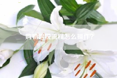 购物退税流程怎么操作？