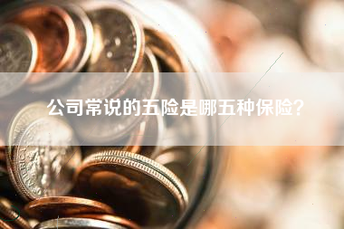 公司常说的五险是哪五种保险？
