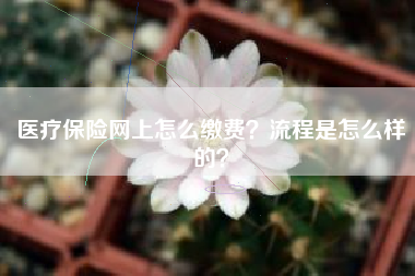 医疗保险网上怎么缴费？流程是怎么样的？